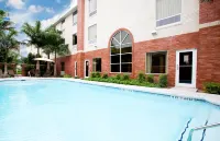 Holiday Inn Express & Suites WESLACO by IHG - Pools