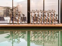 Ibis Styles la Rochelle Thalasso Châtelaillon - Gym