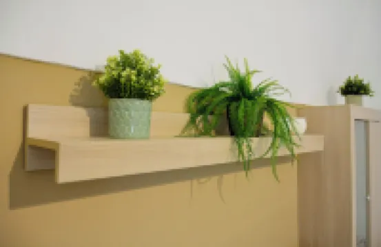 Casa Mimì Hotels in 