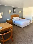 Bristlecone Motel - Bintang 2