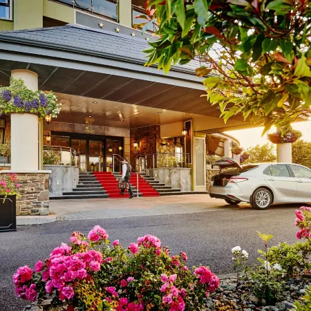 The Rose Hotel