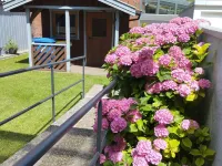 Ruhige Apartment mit Terrasse im Zentrum Emdens Hotels in Emden