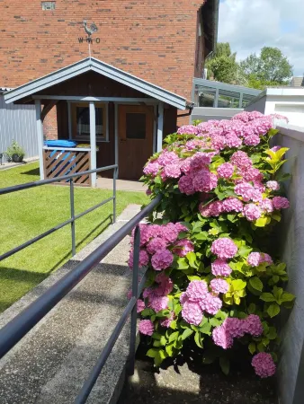 Ruhige Apartment mit Terrasse im Zentrum Emdens