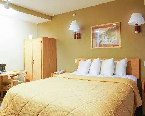 Lamplighter Inn & Suites Photos