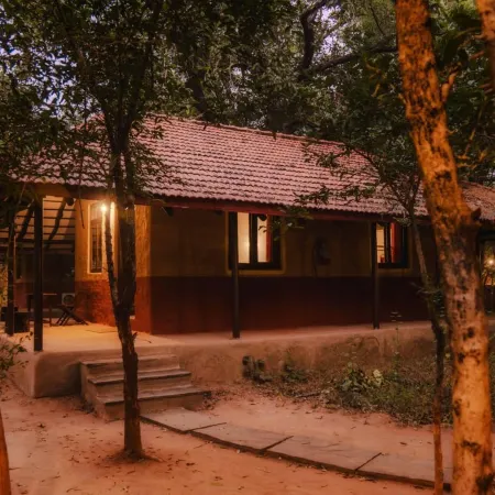 Monsoon Forest Bandhavgarh