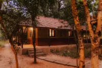 Monsoon Forest Bandhavgarh