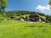 Landgasthaus Grüner Baum Hotels in Simonswald