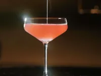 Sofitel New York - bar
