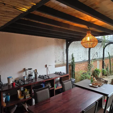 Casa del Árbol Hostel Xochimilco