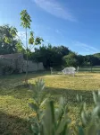 Aux Petits Bourgeons - Homestays