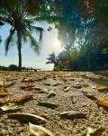 Marafiki Bungalows - Strand