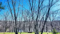 Riverside Historic Home Near Downtown, Wineries, Hiking