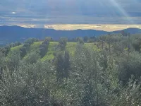 Il Peppolo Country House Hotels in Pelago