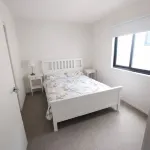 ホリデー ライフスタイル カウズ