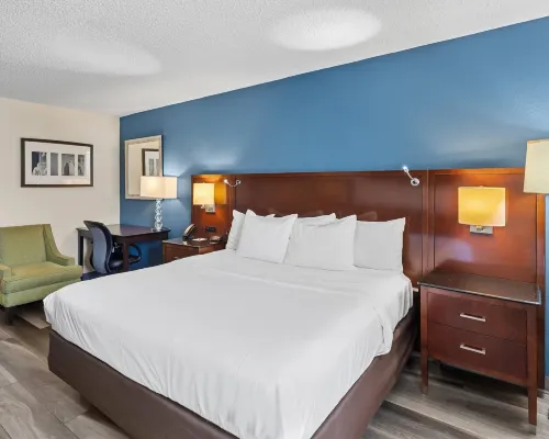 Quality Inn Sumter Hotels in Sumter County