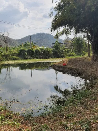 รูปภาพของทรีลิตเติ้ลเบิร์ด 2 ห้องนอน