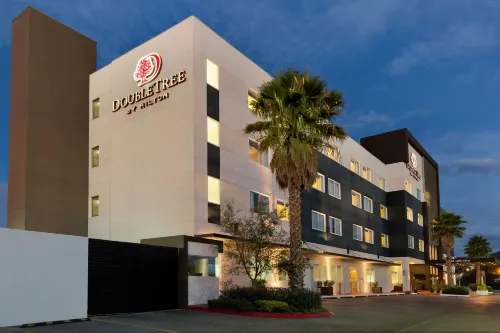 DoubleTree by Hilton Queretaro - Gym