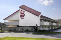 Red Roof Inn Buffalo - Hamburg/ I-90 - parking