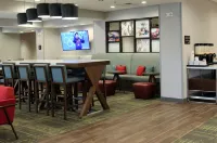 Hampton Inn by Hilton Lexington - piscina