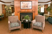 Hampton Inn Hadley-Amherst Area - WiFi