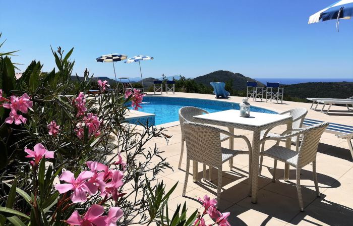 Saha Tourist Accommodation Among Olive Trees and Sea View