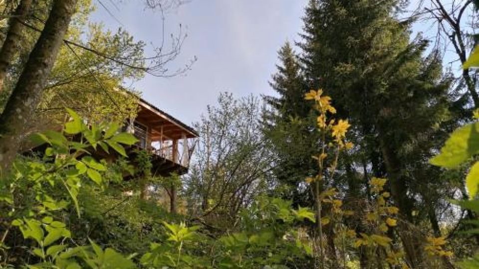 Furanelle au Pilat