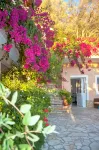 Apartments Tonia - Pelekas Beach, Corfu Hotels in Parelia