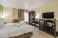 سليب إن ويثفيل فيل آي-77 آند آي-81 فنادق في Wythe County