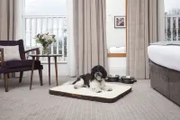 voco EDINBURGH - ROYAL TERRACE by IHG - 4-نجوم
