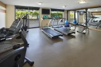 Holiday Inn & Suites ANAHEIM (1 BLK/DISNEYLAND®) by IHG - Gym