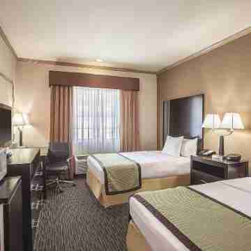La Quinta Inn & Suites by Wyndham Davis Rooms