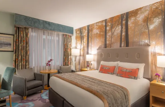 Crowne Plaza 都柏林 - 諾斯伍德