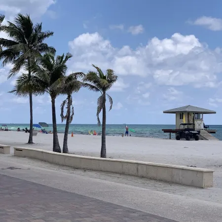 Hollywood Beach Flamingo