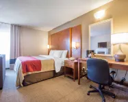 Comfort Inn Các khách sạn ở Bathurst