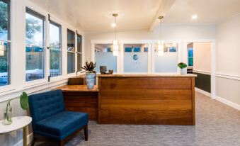 Olea Hotel