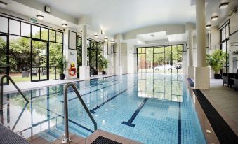 a large indoor swimming pool with a glass wall , surrounded by white walls and greenery at Hyatt Hotel Canberra - A Park Hyatt Hotel