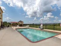 Comfort Inn & Suites Gatesville Near Fort Cavazos Hotels in Gatesville