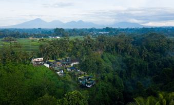 Zenubud