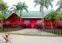 椰子樹林自然水療度假村