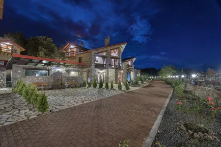 VIP Chalet Livadi Arachova