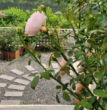 Chuncheon Onda Poolvilla Отели рядом с достопримечательностью «Jade Garden»