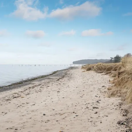 "Hattie" - 100m from the Sea