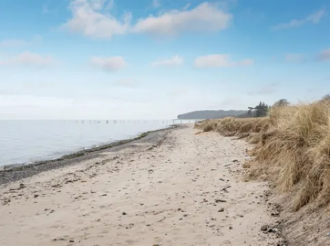 "Hattie" - 100m from the Sea