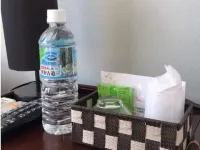 Tanabe Station Hotel