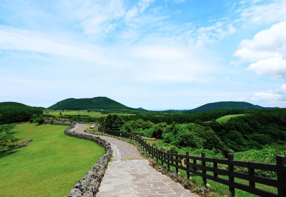 제주 더갤러리 펜션