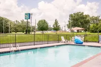 Quality Inn Savannah South - Swimmingpools