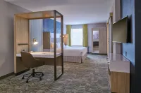 SpringHill Suites Detroit Dearborn