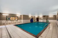 Quality Inn - Kolam Renang