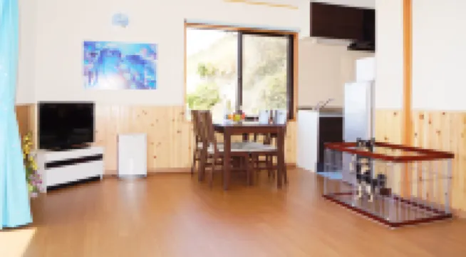 Sunny Coast Minamiboso Ocean Blue