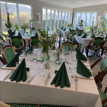 Dolphin Hotel Herning